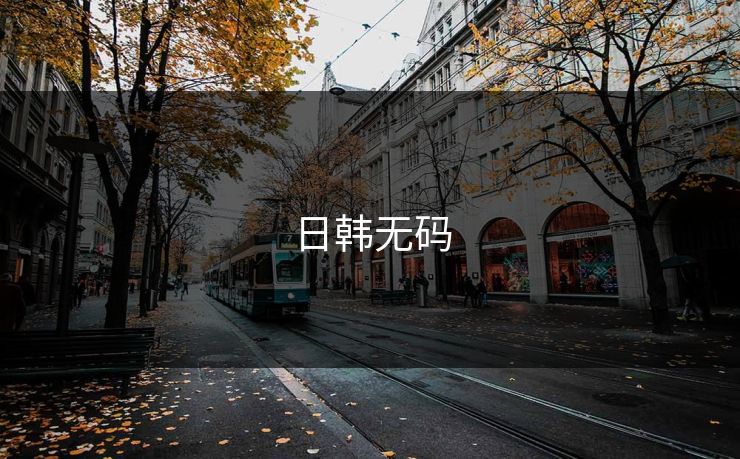 日韩无码