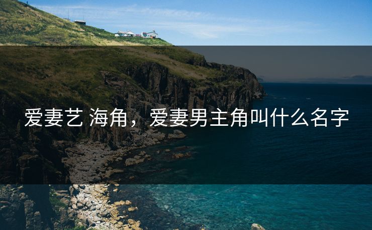 爱妻艺 海角，爱妻男主角叫什么名字