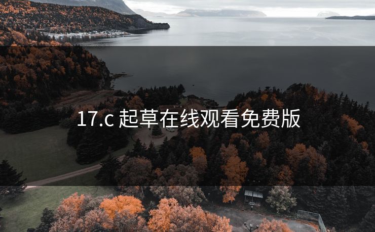 17.c 起草在线观看免费版